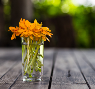 お花を長持ちさせるために